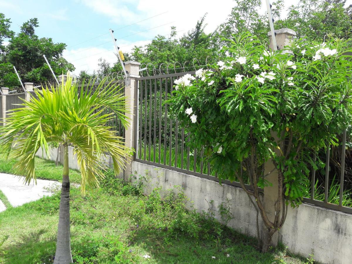 Apt Superior Cabo Branco - Ar Condicionado Nos 2 Quartos - Prox A Praia De Cabo Branco E A Ufpb João Pessoa Eksteriør billede